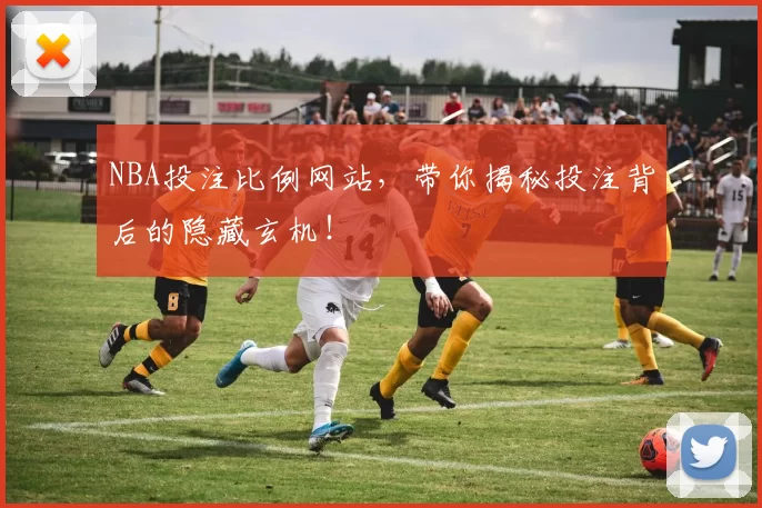 NBA投注比例网站，带你揭秘投注背后的隐藏玄机！